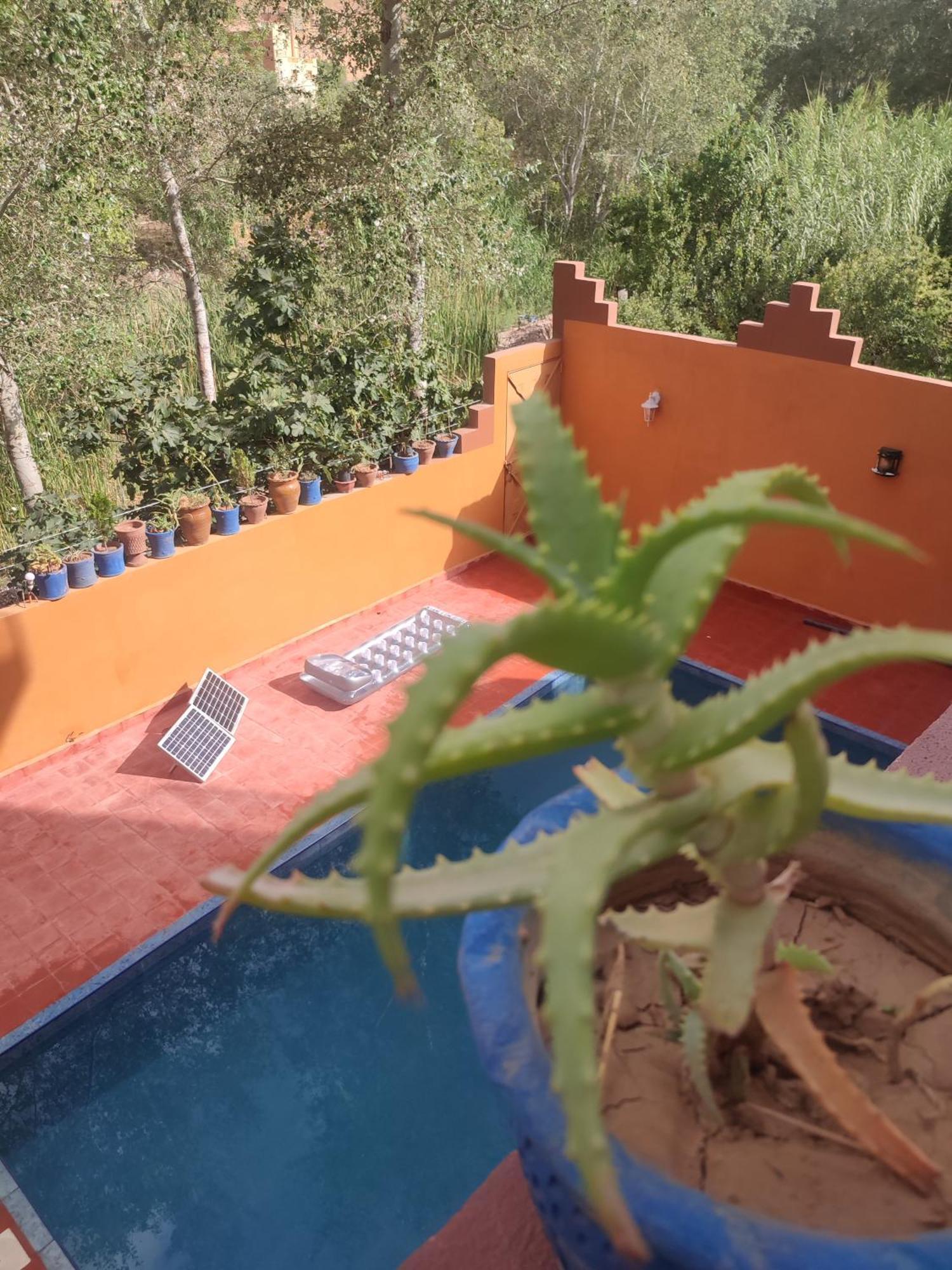 Auberge De La Riviere Du Dades Boumalne Dış mekan fotoğraf